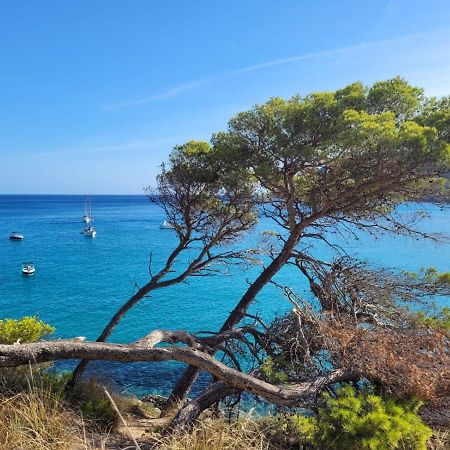 Apartment 4B Formentor Sea View & Pool In Canamel Canyamel  Luaran gambar